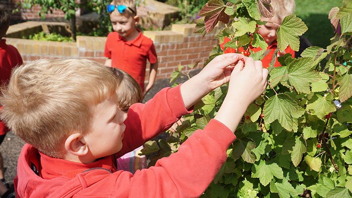 Photo of children at Ysgol Gymraeg Cwmbrân